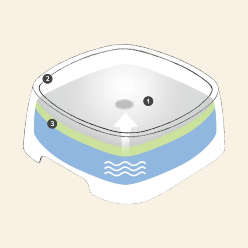 Wasserschale